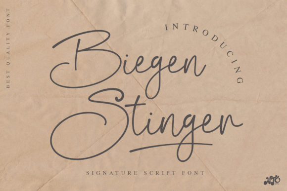Biegen Stinger Script: A Font for Clear Campaigns