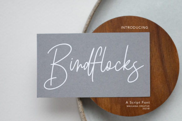 Birdflocks Script: A Designer’s Guide to Elegant Typography