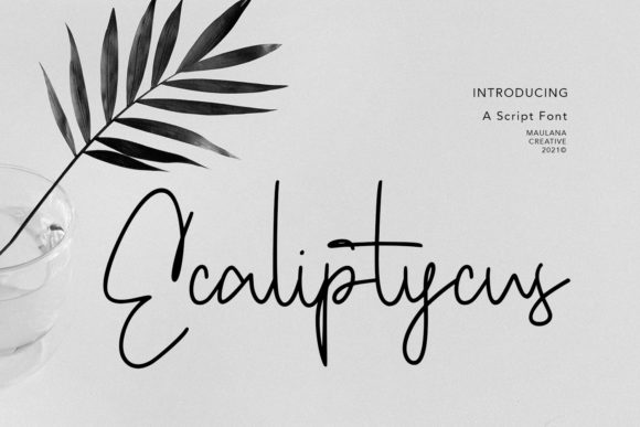 Ecaliptycus Script: A Delicate Typeface for Luxury Branding