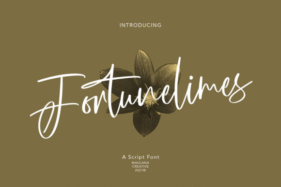 Fortunelimes Script: A Designer's Practical Review