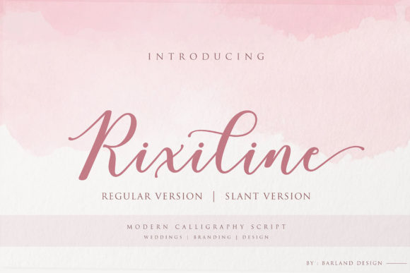 Rixiline Script: A Premium Font for Digital Marketers