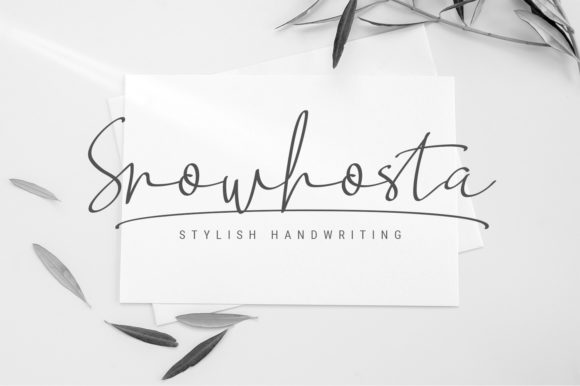 Snowhosta Script: A Typeface That Elevates Brand Identity